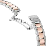 Omega SEAMASTER AQUA TERRA 34 mm in Steel and 18K Sedna™ Gold