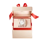 Omega SEAMASTER AQUA TERRA 34 mm in Steel and 18K Sedna™ Gold